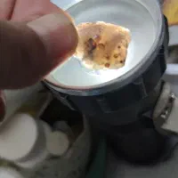 فروش فوری کلی تقریباً 3کیلو شجر قایین ،شجر سبز