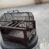 قفس سهره