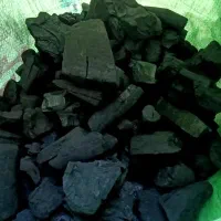 زغال کبابی|کافی‌شاپ و رستوران|شاندیز, |دیوار