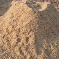 کاه نخود