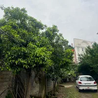 فروش زمین کلنگی۲۱۳ متری در شیخ زاهدویودار|فروش زمین و ملک کلنگی|لاهیجان, شیخ زاهد|دیوار
