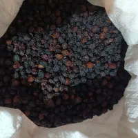 آلوچه و گیلاس|خوردنی و آشامیدنی|تهران, ائمه اطهار|دیوار