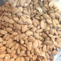 فروش مغز بادام|خوردنی و آشامیدنی|شیراز, شهرک گلستان|دیوار