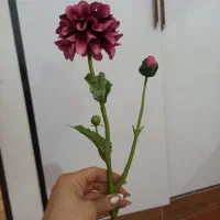 وسایل دکور|مجسمه، تندیس، ماکت|بوشهر, |دیوار