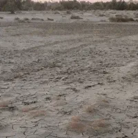 زمین مزروعی اول سوراپ روبه روی موتوراب بیجارزهی|فروش زمین و ملک کلنگی|ایرانشهر, |دیوار