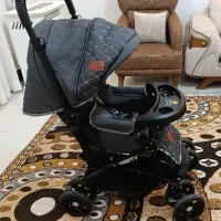 کالسکه دلیجان نو