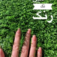چمن و دیوار سبز|مصالح و تجهیزات ساختمان|اهواز, زیتون کارمندی|دیوار
