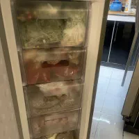 فریزرتک بدون برفک پلادنیوم