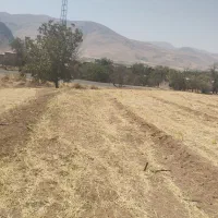 زمین مرغوب نزدیک روستاوچسپیده به جاده اصلی