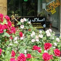 طرح فروش اقساطی ومعاوضه مغازه در سهند با سند۶ دانگ