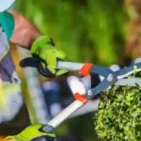 خدمات‌باغبانی.فقط‌تماس‌.