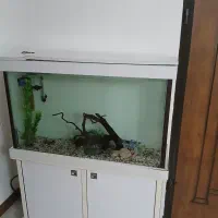 آکواریوم با وسایل