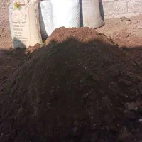 کود حیوانی|خدمات باغبانی و درختکاری|جهرم, |دیوار