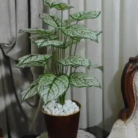 درختچه مصنوعی|گل مصنوعی|پرند, فاز ۴|دیوار