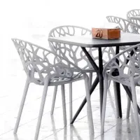 صندلی پلاستیکی باغی پلیمری طرح ونوس