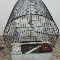 قفس پرنده|لوازم جانبی حیوانات|کنگاور, |دیوار