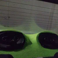 باند پایونز همراه با تاخچه