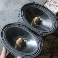 فلش ۴۴ معاوضه دارم جفت باند یا میدرنج