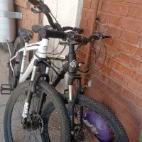 فروش دوچرخه|دوچرخه، اسکیت، اسکوتر|شیراز, زرهی|دیوار