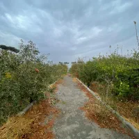 فروش-باغ-شهرکی