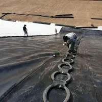 استخر کشاورزی ، ژئوممبران ، ژئوتکستایل|خدمات باغبانی و درختکاری|تهران, پاسداران|دیوار