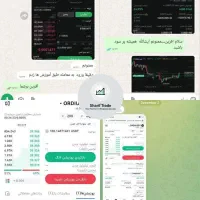 آموزش ترید ارز دیجیتال و فارکس تخصصی