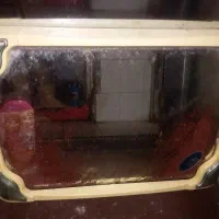 اینه سرویس بهداشتی