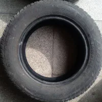 لاستیک|قطعات یدکی و لوازم جانبی|فردیس, نگارستان|دیوار