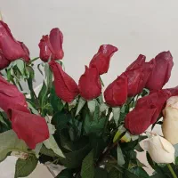 گل و گلدان|گل مصنوعی|رباطکریم, رباطکریم|دیوار