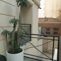 فروش درخچه لوکس ماداگاسکار با گلدان فلزی سفارشی