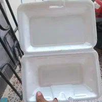 ظروف یکبار مصرف