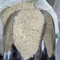 برنج ارگانیک هاشمی فوق اعلا «کالابرگ»