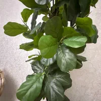 گلدان و درختچه مصنوعی