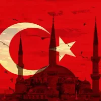 کاریابی استانبول آرتین