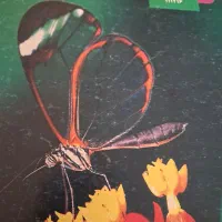 کتاب|کتاب و مجله آموزشی|قم, ارم|دیوار