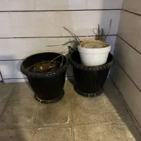 گلدون بسیار بزرگ مناسب درختچه