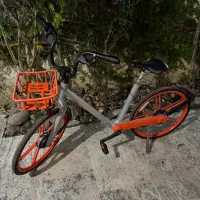 دوچرخه شهری موبایک