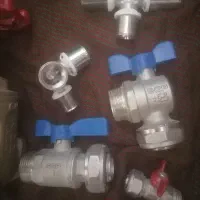 فروش شیر کلکتوری