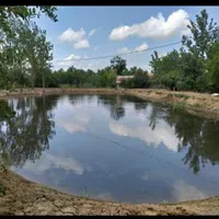 سرمایه گذار برای بوم گردی زمین ازمن