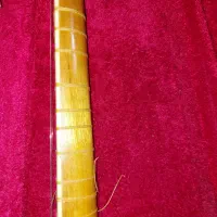 تار تک مهر کشاورز|سازهای سنتی|تهران, پردیسان|دیوار