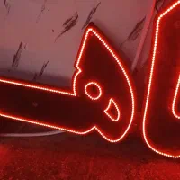 تابلو ماهی به ابعاد یک متر در ۶۰ سانت