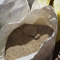 کود مرغ