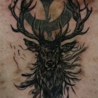 اجرا حرفه ای تتو بدن