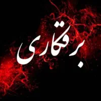 برقکاری/تعمیرات/عیب یابی/رفع اتصالی