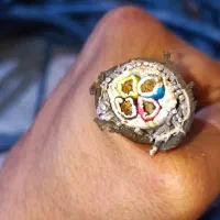 کابل ۴+۱۶ مس خوشک استخوانی