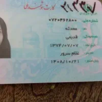 کیف مدارک گم شده