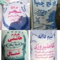 انواع برنج  محلی