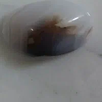 فروش سنگ خراسانی و سنگ فیروز نیشابور