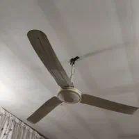 پنکه سقفی