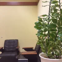 کارآموز روانشناسی